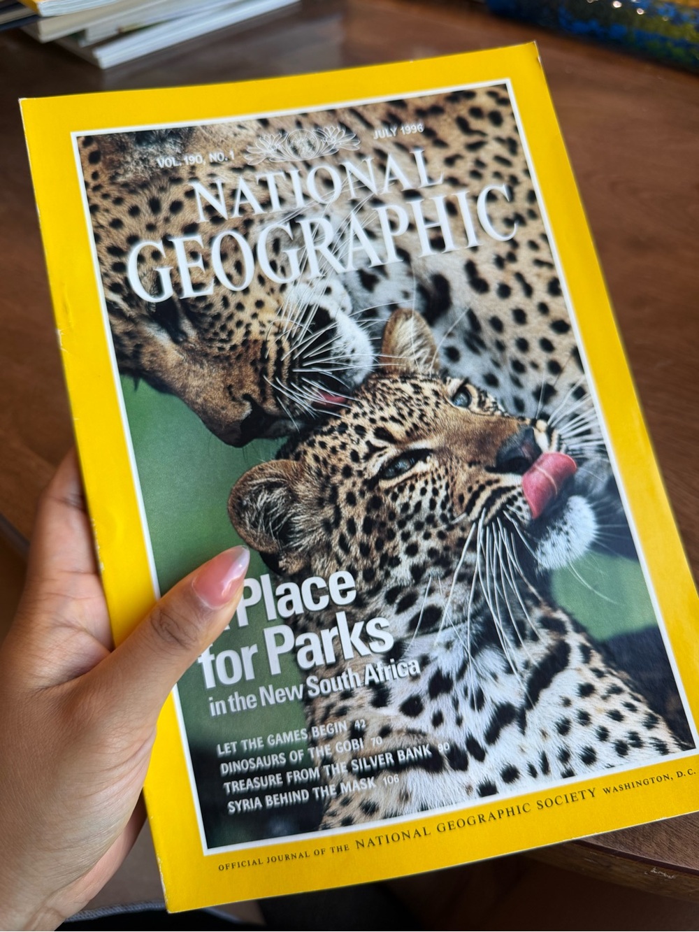 National Geographic Yellow-Edged Leopard Cover 1996
